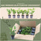 Plants by Frank | 1 strekkende meter laurierkershaag | 6x Prunus laurocerasus 'Rotundifolia' Ø12 cm - 20 cm | winterharde haagplanten | Groenblijvende haag | Tuinplanten | Planten