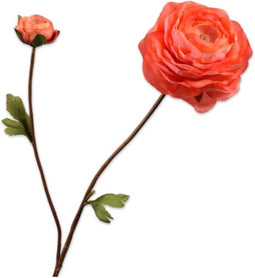 Ranonkeltak l65 cm oranje