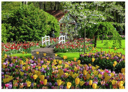 Ravensburger 12000851 Legpuzzel 1000 stuk(s) Liggend