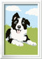 Ravensburger CreArt Border Collie - Schilderen op nummer voor kinderen