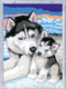 Ravensburger CreArt Cute Huskies - Schilderen op nummer voor kinderen