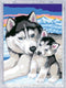 Ravensburger CreArt Cute Huskies - Schilderen op nummer voor kinderen