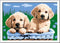 Ravensburger CreArt Cute Puppies - Schilderen op nummer voor kinderen