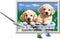 Ravensburger CreArt Cute Puppies - Schilderen op nummer voor kinderen