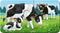 Ravensburger Dierenfamilies op de boerderij - My First puzzles - 9x2 stukjes - kinderpuzzel