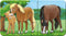 Ravensburger Dierenfamilies op de boerderij - My First puzzles - 9x2 stukjes - kinderpuzzel