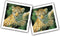 Ravensburger Jonge dieren memory®