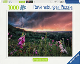 Ravensburger Legpuzzel Ein Sturm Zieht Auf, 1000st.