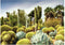 Ravensburger Legpuzzel Huntington Desert Garden, 1000st.