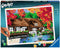 Ravensburger Molen in Blautopf