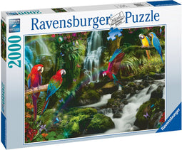 Ravensburger puzzel Bonte papegaaien in de jungle - legpuzzel - 2000 stukjes