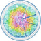 Ravensburger Puzzel Circle of Colors Regenboog taart - Legpuzzel - 500 stukjes