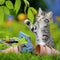 Ravensburger puzzel katten - 3x49 stukjes - kinderpuzzel