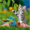 Ravensburger puzzel katten - 3x49 stukjes - kinderpuzzel