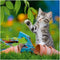 Ravensburger puzzel katten - 3x49 stukjes - kinderpuzzel