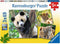 Ravensburger puzzel Panda, tijger en leeuw - Legpuzzel - 3x49 stukjes
