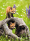 Ravensburger puzzel Photograph Exotic Animal - Legpuzzel - 300 XXL stukjes