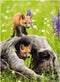 Ravensburger puzzel Photograph Exotic Animal - Legpuzzel - 300 XXL stukjes