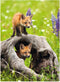 Ravensburger puzzel Photograph Exotic Animal - Legpuzzel - 300 XXL stukjes