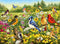 Ravensburger puzzel Vögel - 500 stukjes.