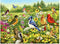 Ravensburger puzzel Vögel - 500 stukjes.