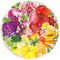 Ravensburger Round puzzle Circle of colors Fruits and Vegetables - Legpuzzel - 500 stukjes