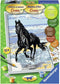 Ravensburger Schilderen op nummer Paard in de Branding - Hobbypakket