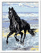 Ravensburger Schilderen op nummer Paard in de Branding - Hobbypakket