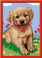 Ravensburger Schilderen op nummer Schattige puppies - Hobbypakket