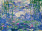 Ravensburger Waterlilies (Monet) - Schilderen op nummer voor volwassenen