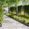 vidaXL - Grasrand - 50 - stuks - Zwart - 100x0.5x15 - cm - Staal
