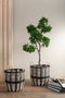 J-Line plant Chinese Vijg Ficus Boom In Pot - kunststof - groen/zwart - large