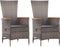 vidaXL - Tuinstoelen - 2 - st - met - kussens - poly - rattan - grijs