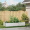 vidaXL - Plantenbak - 200x80x40 - cm - staal - wit