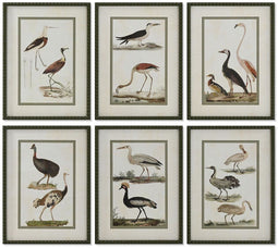 Schilderij Home ESPRIT Vogels Cottage 40 x 2,5 x 54 cm (6 Stuks)