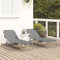 vidaXL - Opvouwbare - Ligbed - 2 - stuks - Draagbaar - Grijs - 600D - Oxford - Voortent