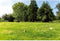 Outdoor Play Kubbspel - Outdoor Spel - 21 houten onderdelen - incl draagtas