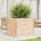 vidaXL - Plantenbak - 80x80x68,5 - cm - massief - grenenhout