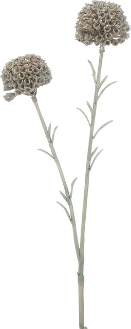 J-Line decoratie Tak Marigold 2 Bloemen - kunststof - lichtgroen - 24 stuks