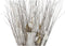 Boeket DKD Home Decor Blommor Kokosvezel (2 pcs) (40 x 40 x 100 cm)