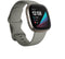 Fitbit Sense - Smartwatch - Stressmeting en huidtemperatuursensor - Grijs