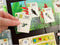 999 Games - Wingspan uitbreiding - Midden- en Zuid-Amerika - 111 unieke vogels
