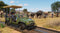 Frontier Developments Planet Zoo - Console Edition - Dierentuinsimulator voor Xbox Series S|X (2024)