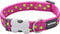 Rd Halsband Stars Limoen Op Roze-l 25mmx41-63cm - Hond - Animal Boulevard - Dc-st-hp-25 - Limoen Op Roze