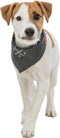 Trixie Bandana Be Nordic Windroos Grijs