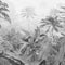 Komar - Fotobehang - Amazonia - Black - and - White - 400x250 - cm