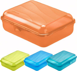 Rotho lunchbox FUN 1,25 l (20 x 14 x 6 cm) transparant 1250 ml