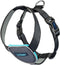 Hondentuigje Company of Animals CarSafe Zwart Maat M