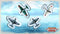 Fighters of the Pacific - Bordspel - Engelstalig
