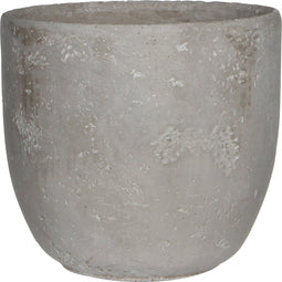 Jimmy sierpot (rond lichtgrijs) ↨ 18cm - hoge kwaliteit planten